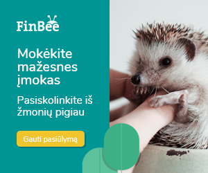 Finbee